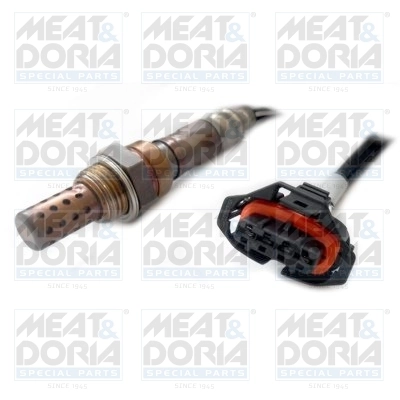 Oxygen Sensor